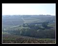 Yonne
