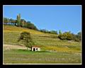 Curtil-Vergy