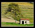 Curtil-Vergy