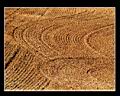 Curtil-Vergy