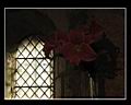 Tournus