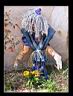 V�zelay (vers)